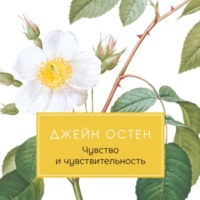 . Чувство и чувствительность