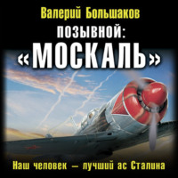 . Позывной: «Москаль»