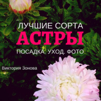 Виктория Зонова. Астры. Лучшие сорта