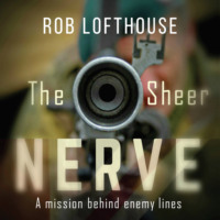 . The Sheer Nerve (Unabridged)