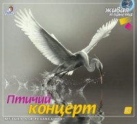 Александр Тихонов. Птичий концерт