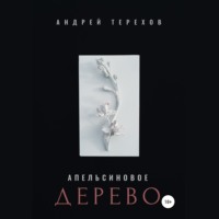 . Апельсиновое дерево