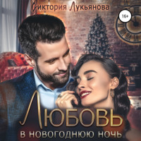 . Любовь в новогоднюю ночь