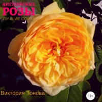 Виктория Зонова. Английские розы. Лучшие сорта