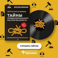 Вячеслав Оробинский. Чему не учат на юрфаке. Тайны профессионального мастерства юриста
