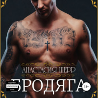 . Бродяга