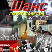 . Шанс. Книга 4