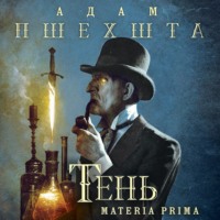. Тень