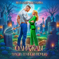 . Однажды тихой темной ночью