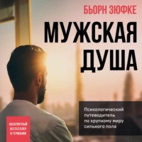 . Мужская душа. Психологический путеводитель по хрупкому миру сильного пола