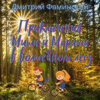 Дмитрий Фаминский. Приключения Миши и Мариши в волшебном лесу
