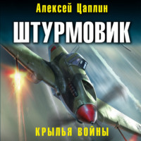 . Штурмовик. Крылья войны