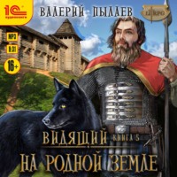 . Видящий. На родной земле