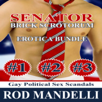 . Senator Brick Scrotorum Erotica Bundle (Unabridged)