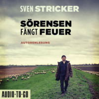 . S?rensen f?ngt Feuer - S?rensen ermittelt, Band 2 (ungek?rzt)