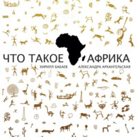 Кирилл Бабаев. Что такое Африка