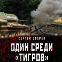 . Один среди «тигров»