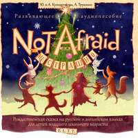 . Not Afraid / Не страшно. Рождественская сказка