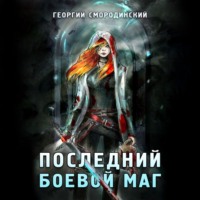 . Последний Боевой маг