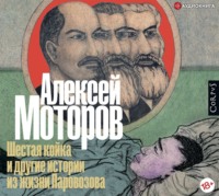 . Шестая койка и другие истории из жизни Паровозова