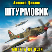 . Штурмовик. Минута до цели