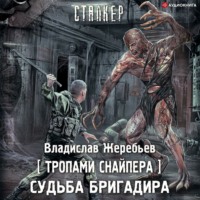. Тропами Снайпера. Судьба Бригадира