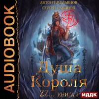 . Душа короля. Книга 3