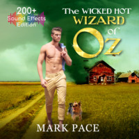 . The Wicked Hot Wizard of Oz - Sound Effects Special Edition (Unabridged)