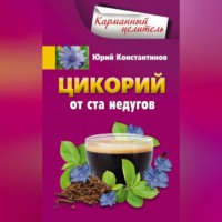. Цикорий от ста недугов