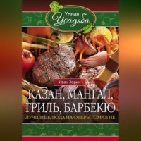 . Казан, мангал, гриль, барбекю. Лучшие блюда на открытом огне