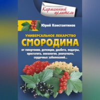 . Универсальное лекарство смородина. От гипертонии, деменции, диабета, подагры, простатита, онкологии, ревматизма, сердечных заболеваний…