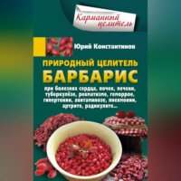 . Природный целитель барбарис. При болезнях сердца, почек, печени, туберкулёзе, ревматизме, геморрое, гипертонии, авитаминозе, пневмонии, артрите, радикулите