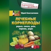 . Лечебные корнеплоды. Редька, свекла, репа, морковь, редис
