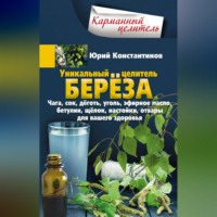 . Уникальный целитель берёза. Чага, сок, дёготь, уголь, эфирное масло, бетулин, щёлок, настойки, отвары для вашего здоровья