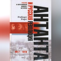 . Антанта и русская революция. 1917-1918