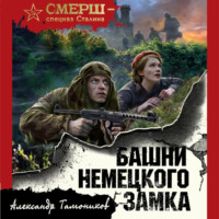 . Башни немецкого замка