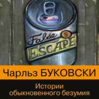 . Истории обыкновенного безумия