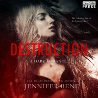 . Destruction - A Dark Romance - Fragile Ties, Book 1 (Unabridged)