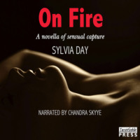 . On Fire - Shadow Stalkers, Book 3 (Unabridged)