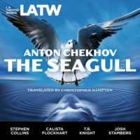 . The Seagull