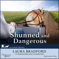 . Shunned and Dangerous - An Amish Mystery, Book 3 (Unabridged)