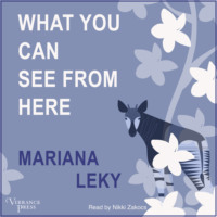 Mariana Leky. What You Can See from Here (Unabridged)