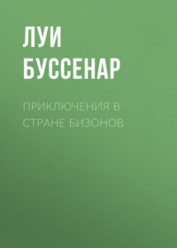 . Приключения в стране бизонов