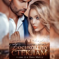 . Босиком по стеклам. Книга 2