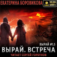 Екатерина Боровикова. Вырай 1.5. Встреча