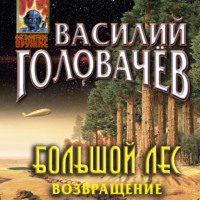 . Большой лес. Возвращение