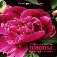 . Пионы. Лучшие сорта