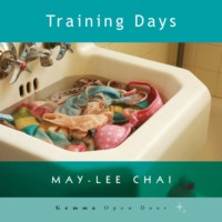 . Training Days (Unabridged)