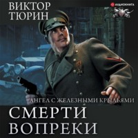 . Ангел с железными крыльями