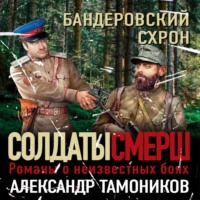 Александр Тамоников. Бандеровский схрон